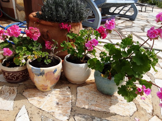 20200328_111010[1947]